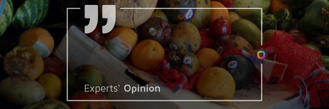 Experts’ Opinions| Food waste - consequences and solutions