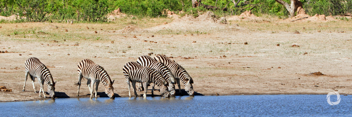Climate change takes toll on Zimbabwe’s natural habitat, UN deputy chief observes Climate change takes toll on Zimbabwe’s natural habitat, UN deputy chief observes