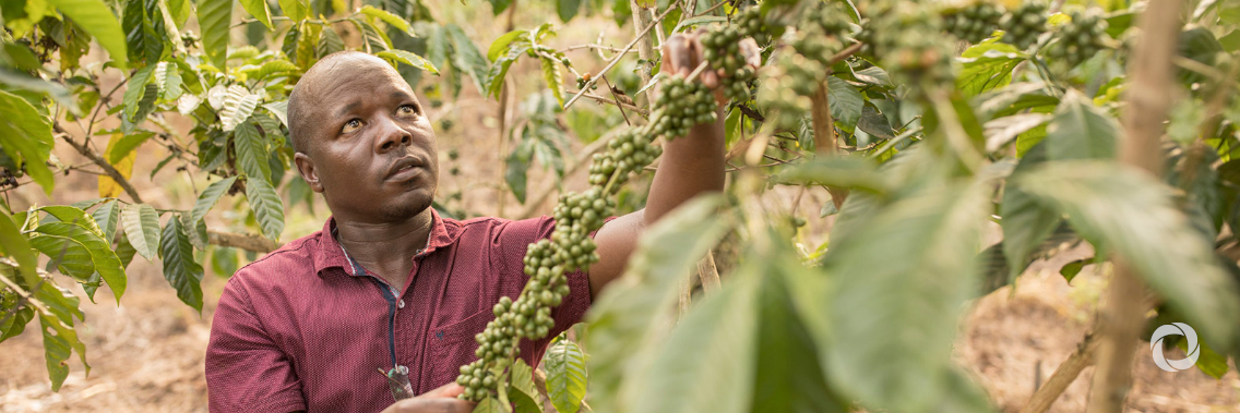 Uganda can create higher labor productivity jobs by improving trade and business environment Uganda can create higher labor productivity jobs by improving trade and business environment