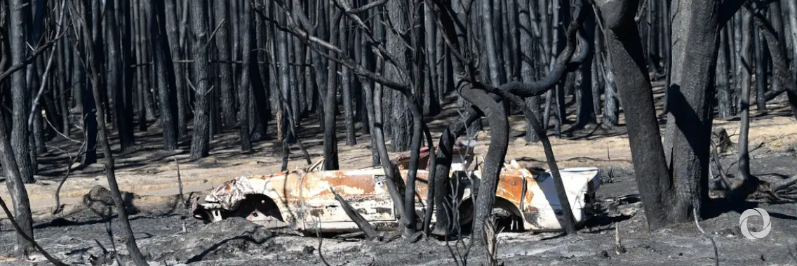 Backpackers given green light to help with bushfire recovery Backpackers given green light to help with bushfire recovery