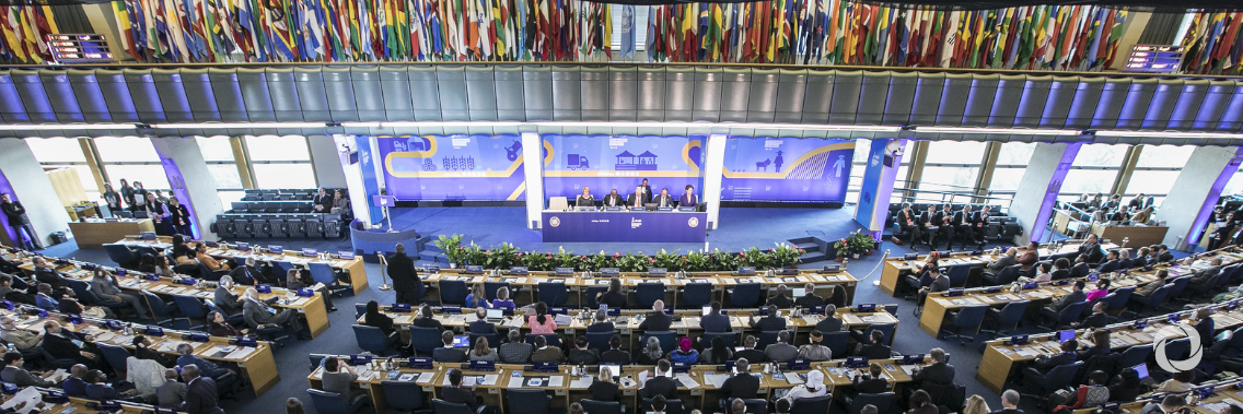 Urgent call for increased investment in rural development to address rising conflict Urgent call for increased investment in rural development to address rising conflict