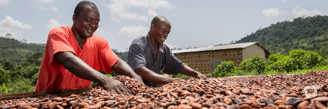 UNIDO and Switzerland expand cooperation to support cocoa value chain in Nicaragua’s mining triangle UNIDO and Switzerland expand cooperation to support cocoa value chain in Nicaragua’s mining triangle