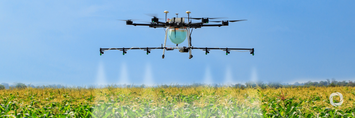 South-South and triangular cooperation can foster smarter agriculture, FAO Director-General tells UN panel South-South and triangular cooperation can foster smarter agriculture, FAO Director-General tells UN panel
