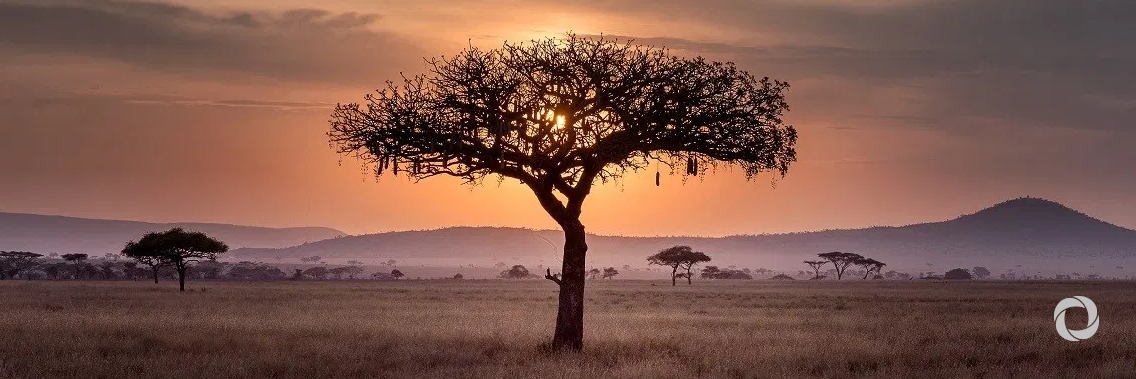 EIB confirms €3 billion of new investment across Africa in 2019 EIB confirms €3 billion of new investment across Africa in 2019