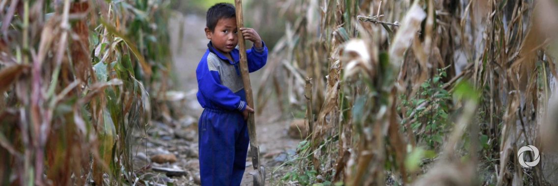 UN seeks $107M to support life-saving assistance in DPRK UN seeks $107M to support life-saving assistance in DPRK
