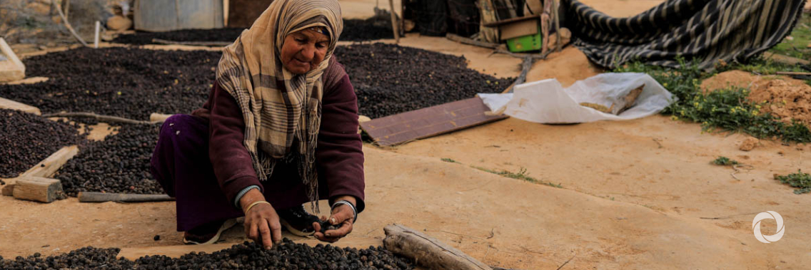 IFAD and Tunisia invest in improving the livelihoods of poor rural families IFAD and Tunisia invest in improving the livelihoods of poor rural families