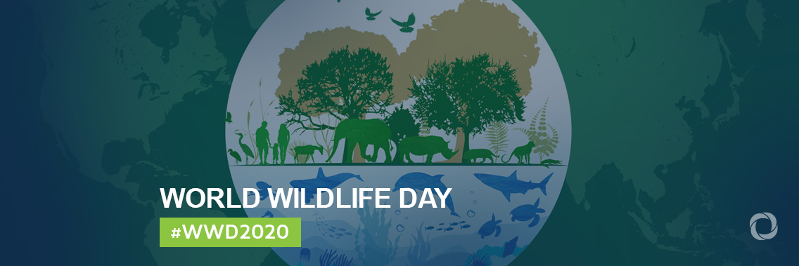 World Wildlife Day 2020 - “Sustaining all life on Earth” World Wildlife Day 2020 - “Sustaining all life on Earth”
