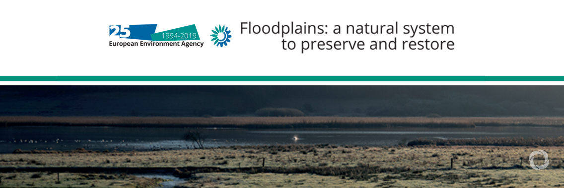 Healthy floodplains have a key role to play in improving our environment Healthy floodplains have a key role to play in improving our environment