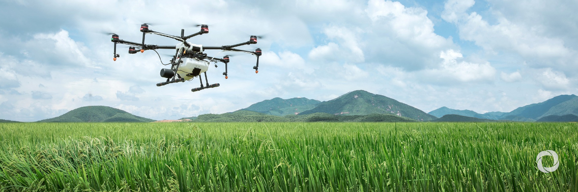 Harnessing Artificial Intelligence's transformative power to make food systems more efficient, sustainable and inclusive Harnessing Artificial Intelligence's transformative power to make food systems more efficient, sustainable and inclusive
