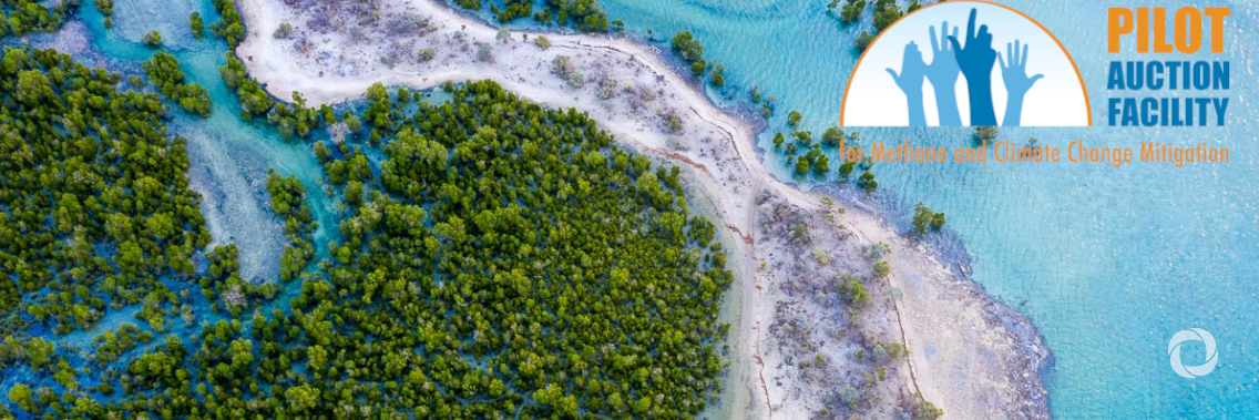 Pilot auction to help reduce 4.2 million tons of emissions in 2020