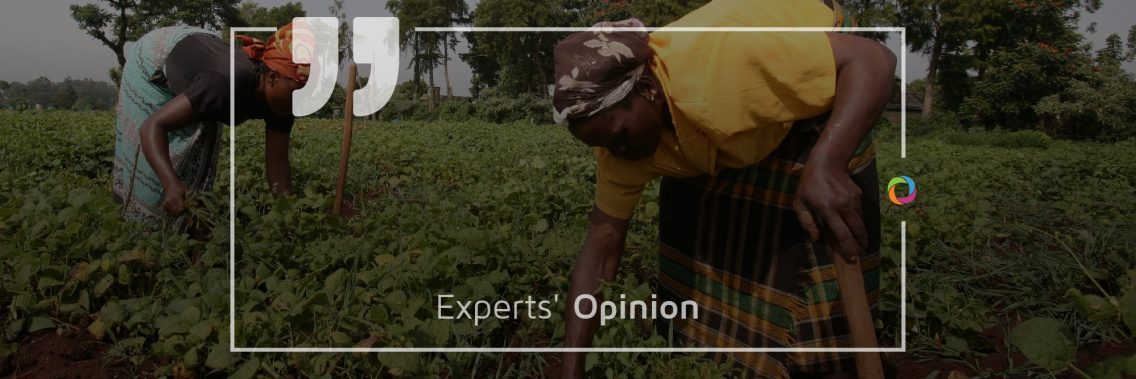Experts’ Opinions| The effectiveness of development aid for agriculture in Sub-Saharan Africa 