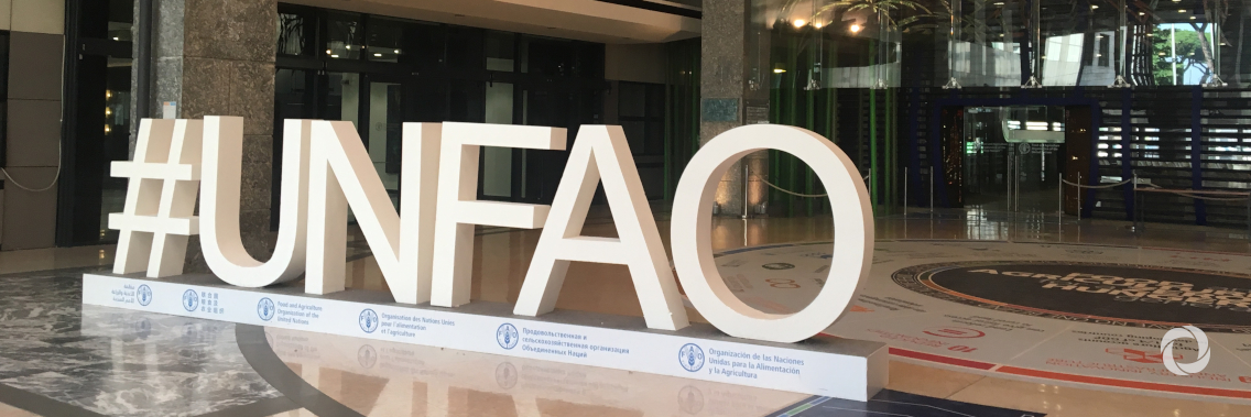 UN agriculture agency staff continue to strive for a better world amid Italy COVID-19 lockdown