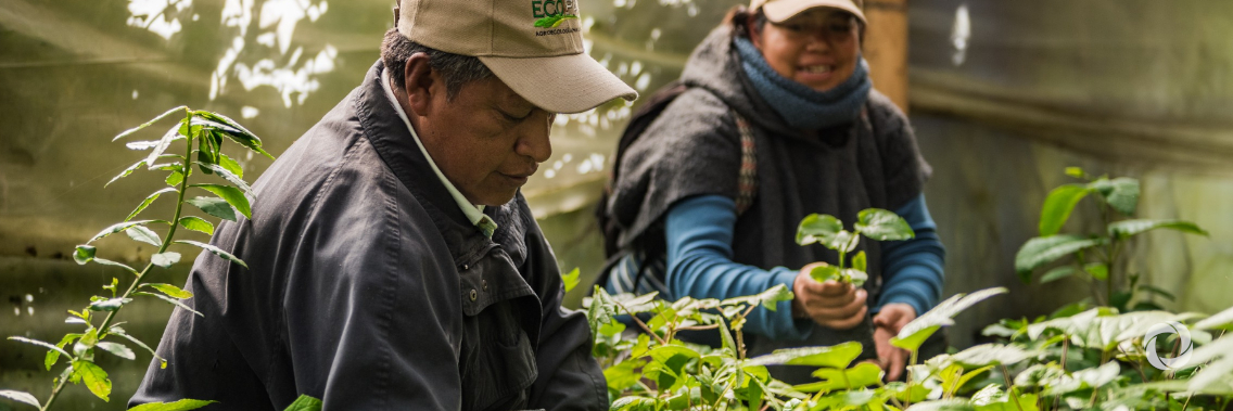 Green Climate Fund approves a $119 million climate resilient project for Cuba Green Climate Fund approves a $119 million climate resilient project for Cuba