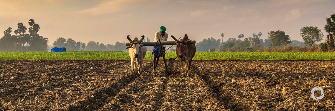 New World Bank project to benefit over 400,000 farming households New World Bank project to benefit over 400,000 farming households