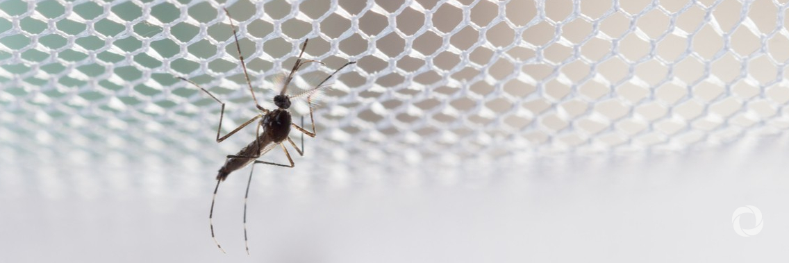 Long-acting medicines meet vector control in new Unitaid-backed malaria initiative Long-acting medicines meet vector control in new Unitaid-backed malaria initiative