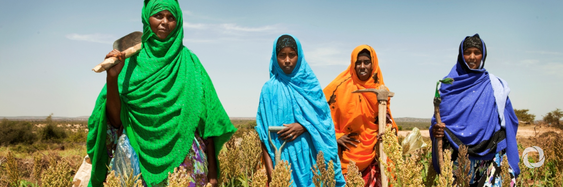 Securing sustainable food systems hinges on gender equality