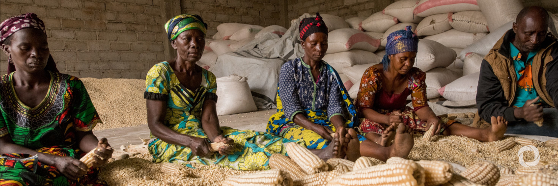 Germany contributes EUR 50 million to strengthen resilience in eastern Democratic Republic of the Congo Germany contributes EUR 50 million to strengthen resilience in eastern Democratic Republic of the Congo