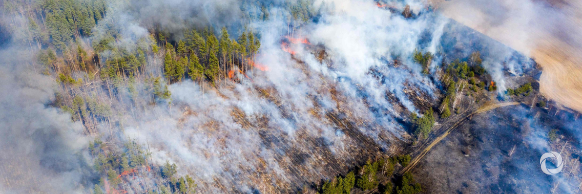 Chernobyl fire under control, Ukraine officials say