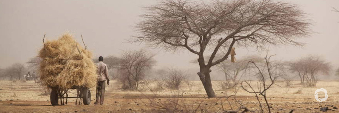 EU announces €194 million additional support to the Sahel EU announces €194 million additional support to the Sahel