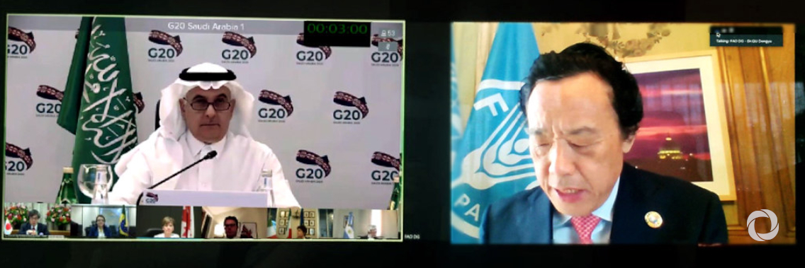 FAO urges at G20 meeting protection of food supply chains amid COVID-19 threat FAO urges at G20 meeting protection of food supply chains amid COVID-19 threat