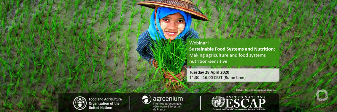 Sustainable Food Systems and Nutrition: Making agriculture and food systems nutrition-sensitive