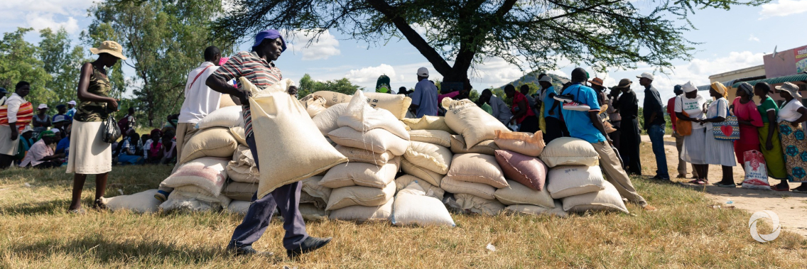 Urgent international support needed to prevent millions of desperate Zimbabweans plunging deeper into hunger