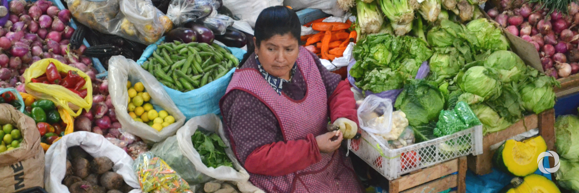 COVID-19 and food security in vulnerable countries