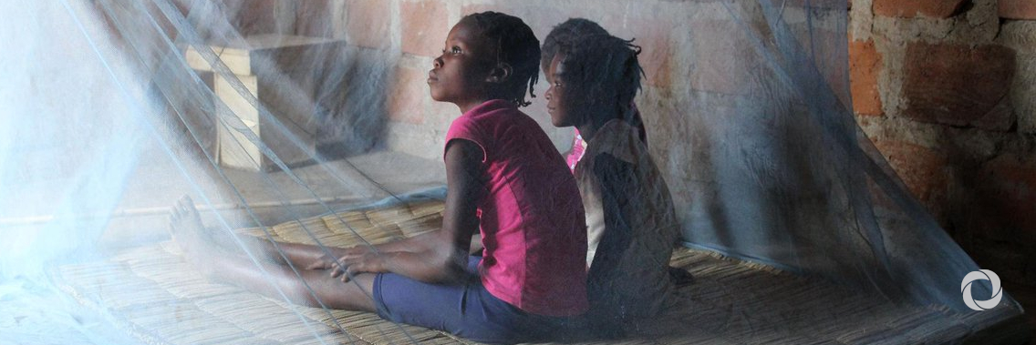 WHO urges countries to move quickly to save lives from malaria in sub-Saharan Africa WHO urges countries to move quickly to save lives from malaria in sub-Saharan Africa