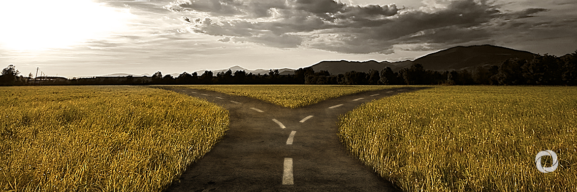 COVID-19: An opportunity for the road not taken?