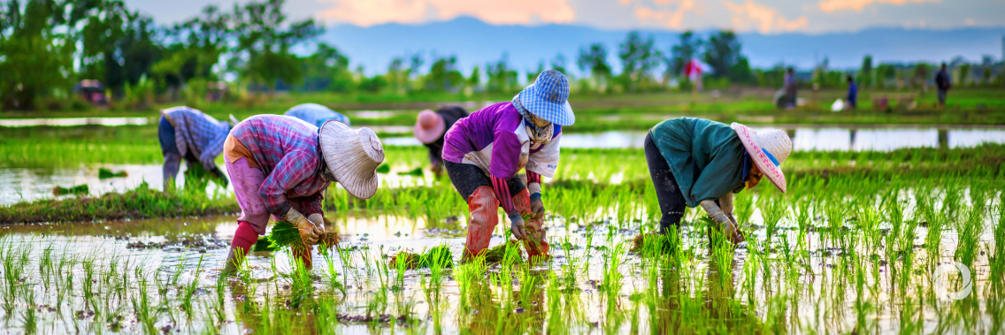 IFAD makes landmark investment in impact fund helping rural SMEs