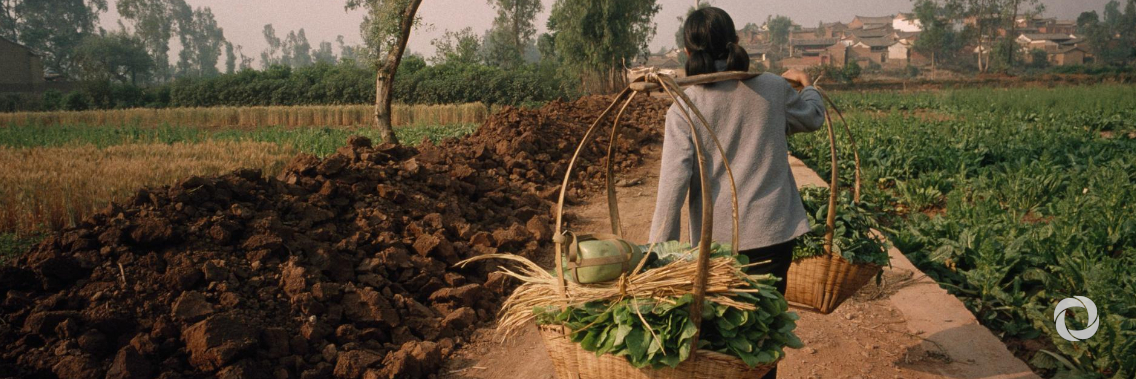 New IFAD fund launched to help prevent rural food crisis in wake of COVID-19 New IFAD fund launched to help prevent rural food crisis in wake of COVID-19