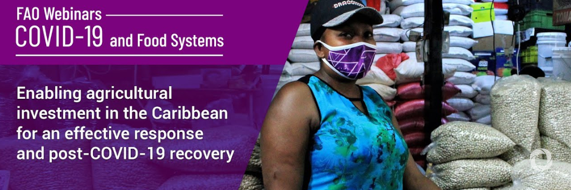 Webinar | Enabling agricultural investment in the Caribbean for an effective response and post-COVID-19 recovery