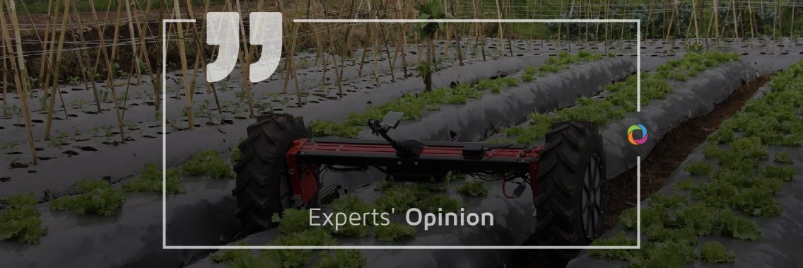 Experts’ Opinion| Robots and Industrialization in Developing Countries. A risk or a better future?