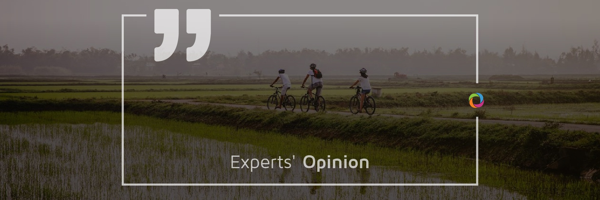 Experts’ Opinions| The impact of agricultural land on poverty and inequality in Rural Vietnam 