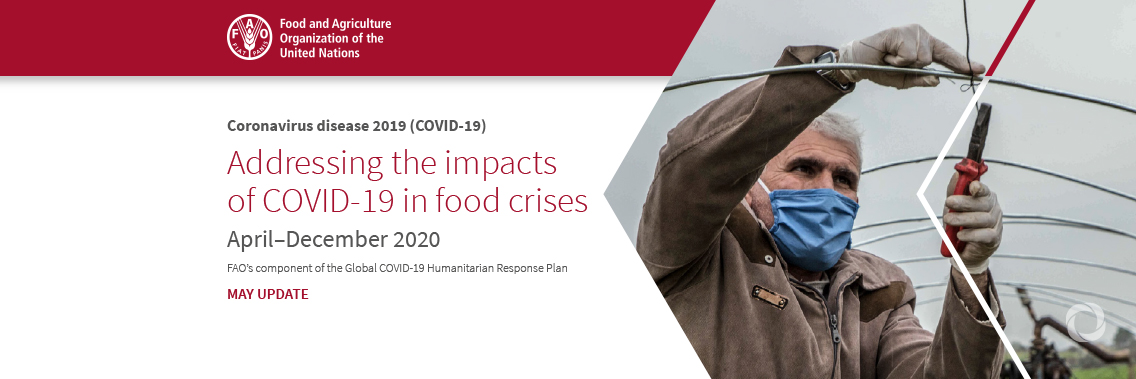 FAO needs $350 million to avert rising hunger as countries reel from COVID-19 pandemic’s impact FAO needs $350 million to avert rising hunger as countries reel from COVID-19 pandemic’s impact