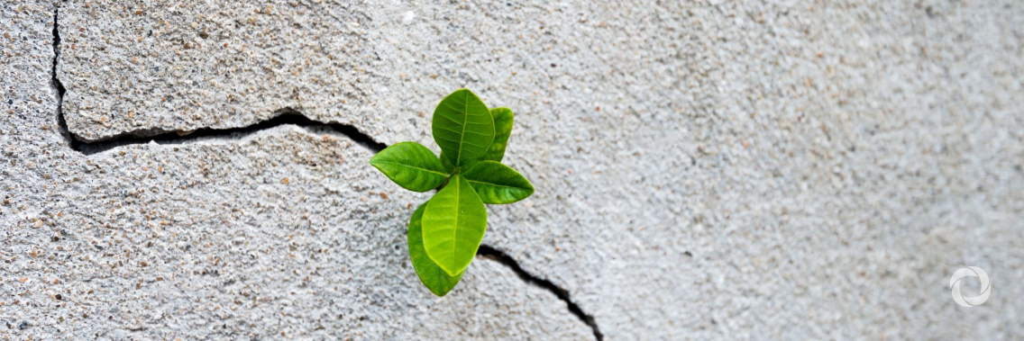 COVID-19: Four Sustainable Development Goals that help future-proof global recovery COVID-19: Four Sustainable Development Goals that help future-proof global recovery