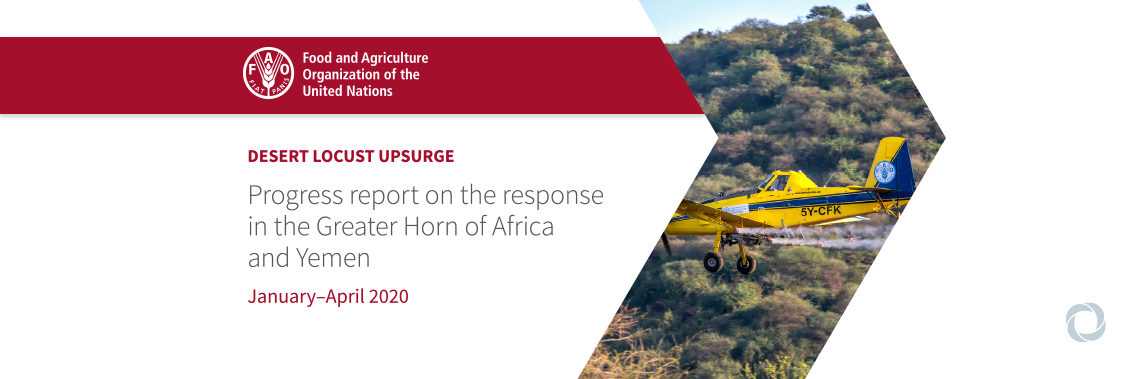 FAO makes gains in the fight against Desert Locusts in East Africa and Yemen but threat of a food security crisis remains FAO makes gains in the fight against Desert Locusts in East Africa and Yemen but threat of a food security crisis remains