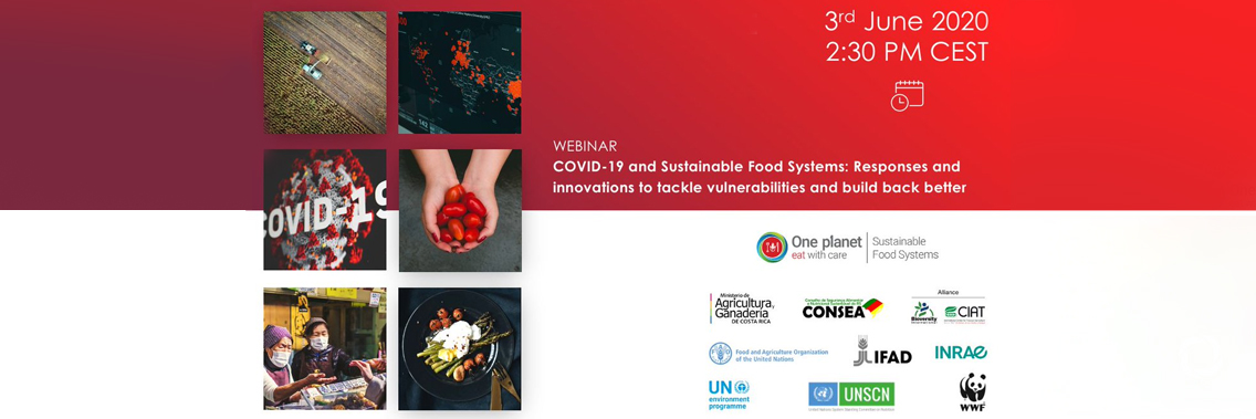 Webinar Covid 19 And Sustainable Food Systems Responses And