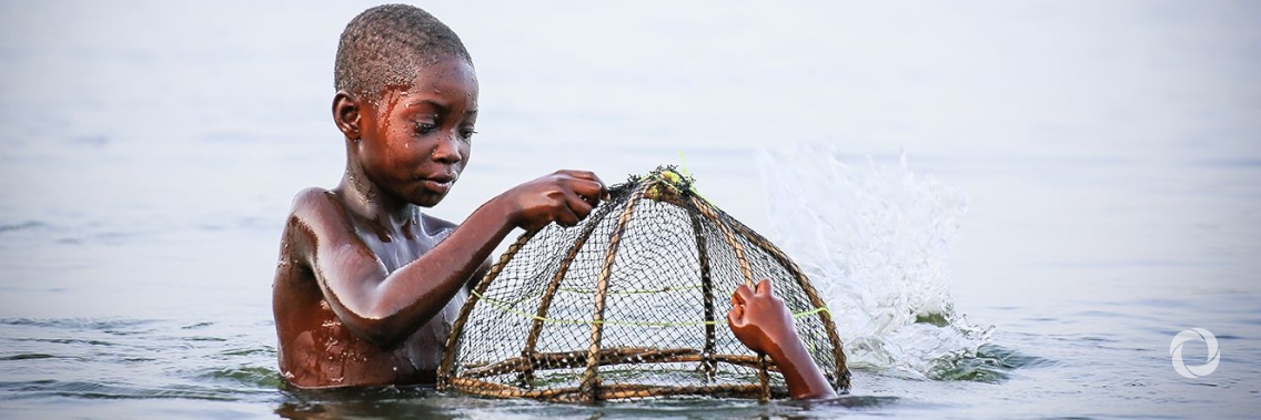Child labour gains since 2000 ‘could be wiped out by COVID’, UN warns Child labour gains since 2000 ‘could be wiped out by COVID’, UN warns