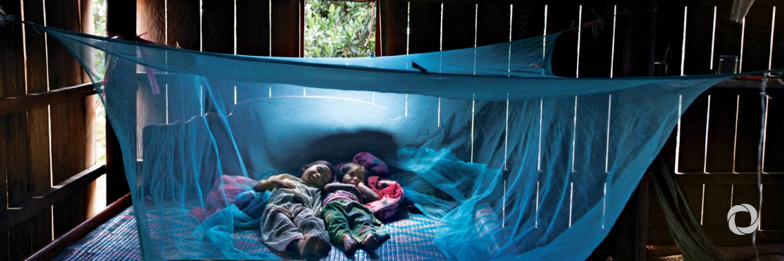 Dengue cases in the Americas top 1.6 million, highlighting need for mosquito control during COVID-19 pandemic Dengue cases in the Americas top 1.6 million, highlighting need for mosquito control during COVID-19 pandemic