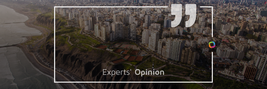 Experts’ Opinions | Decentralization in developing countries. Preconditions. Advantages and Disadvantages.
