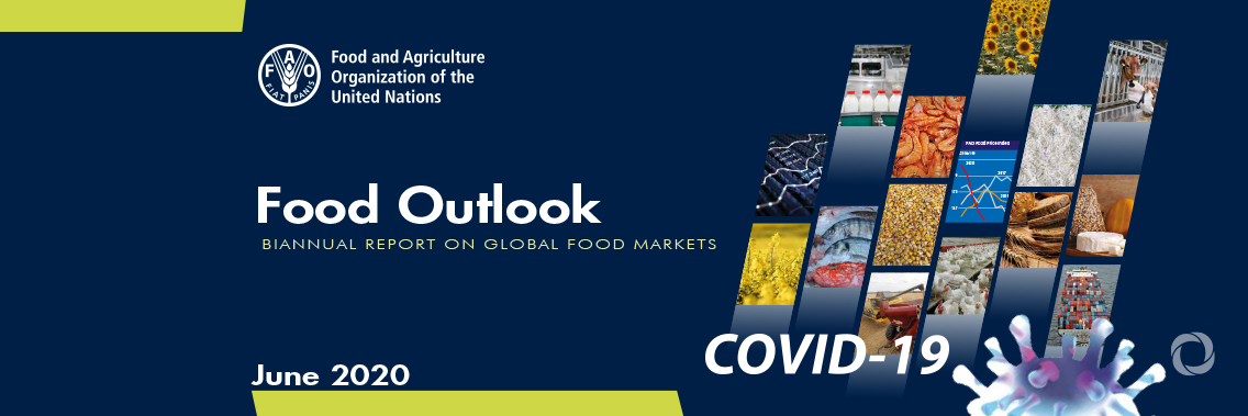 Global food markets still brace for uncertainty in 2020/21 because of COVID-19 says FAO