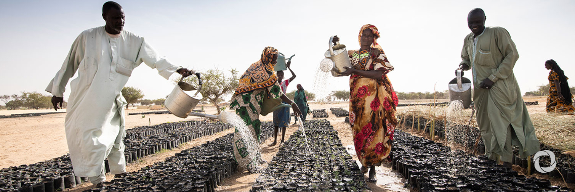 Time to scale up and support Africa’s Great Green Wall Time to scale up and support Africa’s Great Green Wall