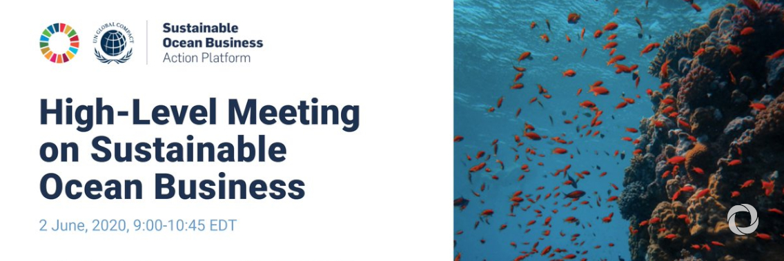 Online | High-Level Meeting on Sustainable Ocean Business