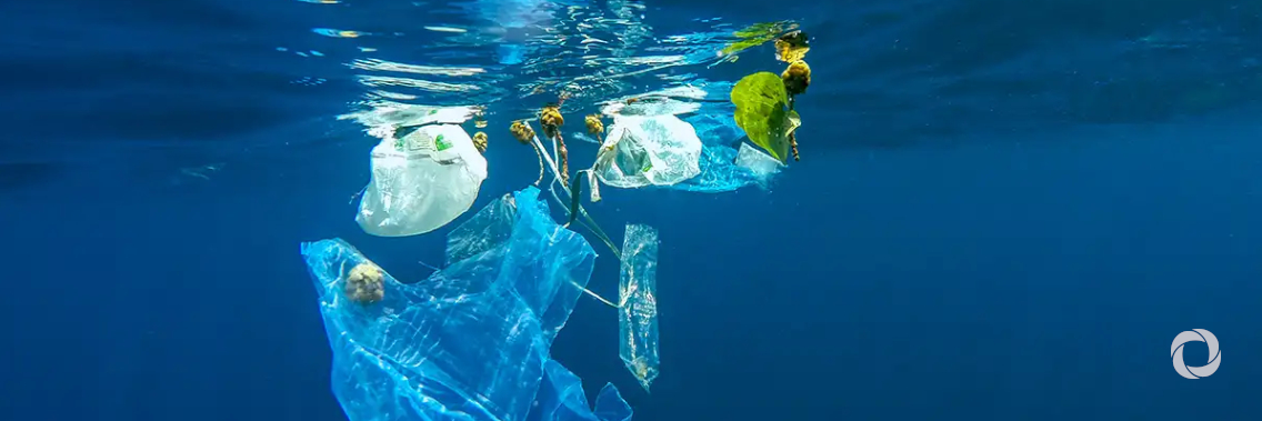 IAEA research records dramatic increase in microplastic pollution in Eastern Tropical Pacific Ocean