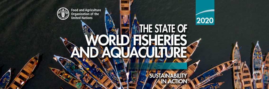 Fisheries management works, so it’s time to apply it more broadly Fisheries management works, so it’s time to apply it more broadly