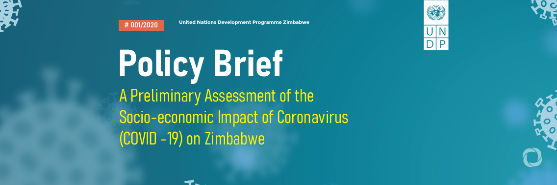 COVID-19 could prove “disastrous” for impoverished Zimbabwe, UNDP study finds