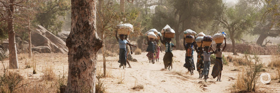UN chief urges continued international support for Mali amid growing terrorist threat UN chief urges continued international support for Mali amid growing terrorist threat