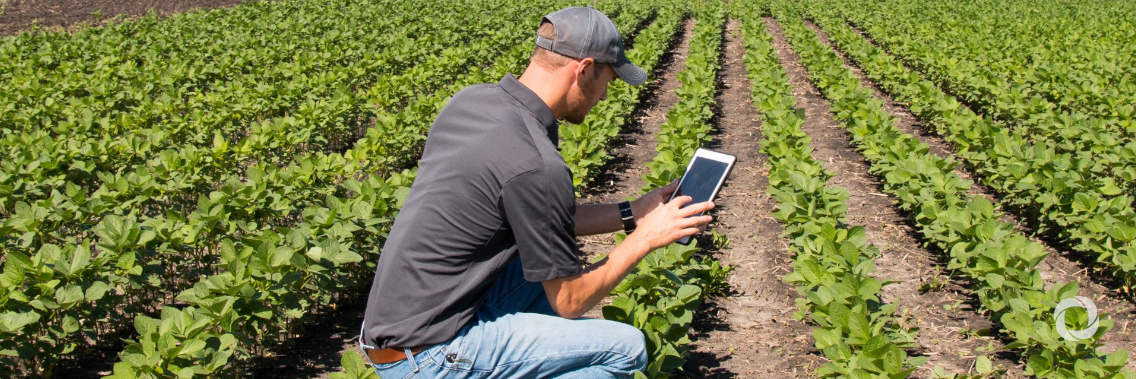 Satellite technology gives developing nations food security boost