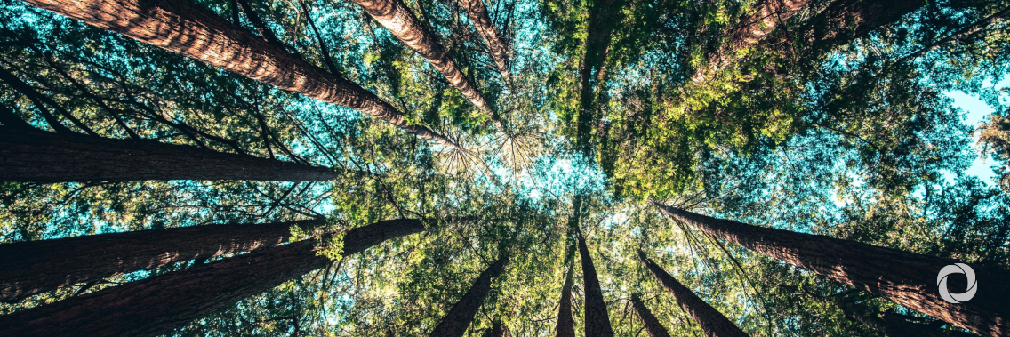 UN Climate Change continues to mobilize the industrial sector